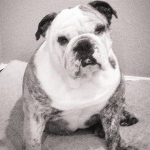 Meet your Posher, Deanne